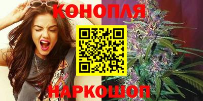 мет Камышлов