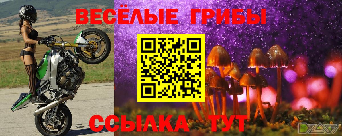 Галлюциногенные грибы ЛСД Кузнецк