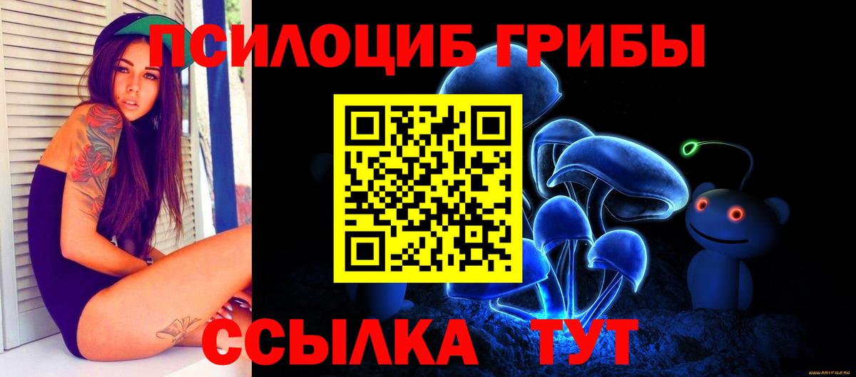 Галлюциногенные грибы Psilocybine cubensis  Вход с VPN  Кузнецк 